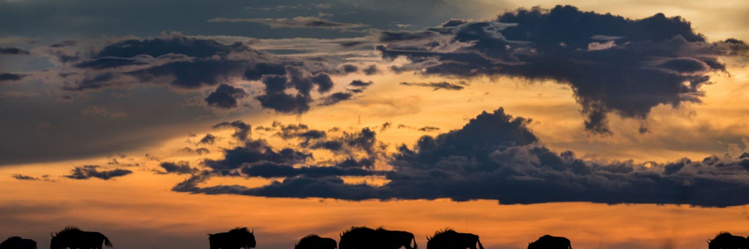 La Zambie Destination secrète