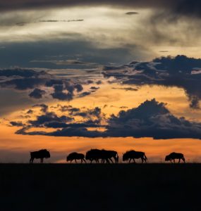 La Zambie Destination secrète