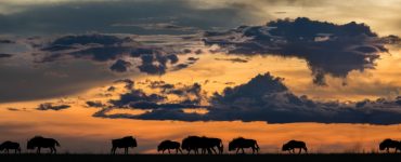 La Zambie Destination secrète