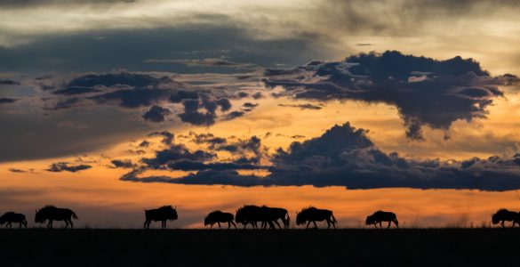 La Zambie Destination secrète