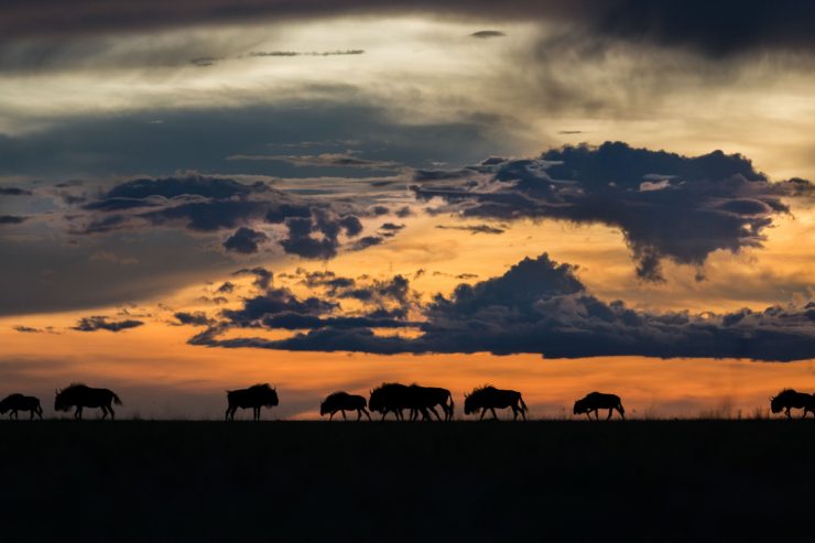 La Zambie Destination secrète